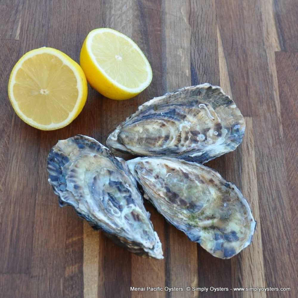 Menai Oysters Buy Online UK Delivery Simply Oysters